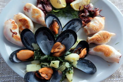 Close-up of seafood served in plate