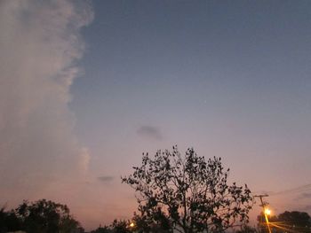 Low angle view of silhouette trees against sky at sunset