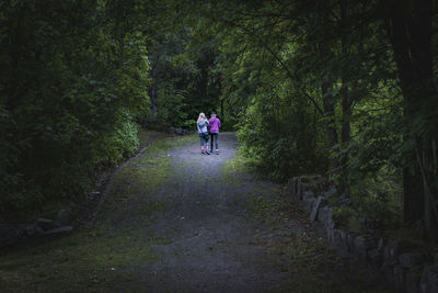 Rear view of people walking on footpath in forest