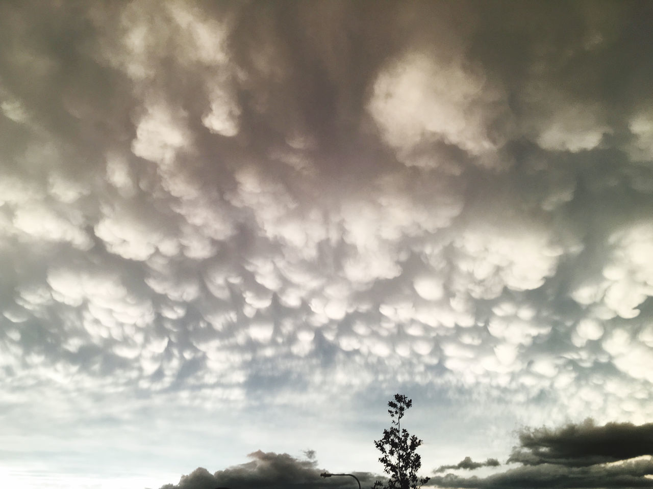 sky, cloud, nature, black and white, cloudscape, tree, environment, beauty in nature, monochrome, dramatic sky, horizon, scenics - nature, darkness, sunlight, monochrome photography, plant, storm, overcast, landscape, outdoors, tranquility, no people, storm cloud, silhouette, copy space, tranquil scene, land, day