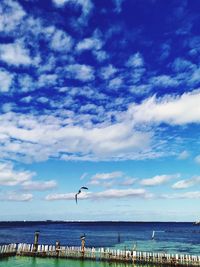 Seagulls flying over sea against sky