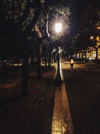 Trees in park at night