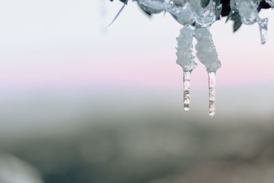 Close-up of frozen water