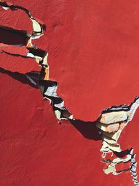 Close-up of built structure