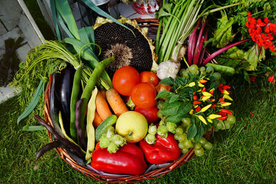 Vegetables in basket