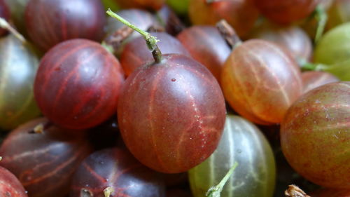 Full frame shot of ripe gooseberries