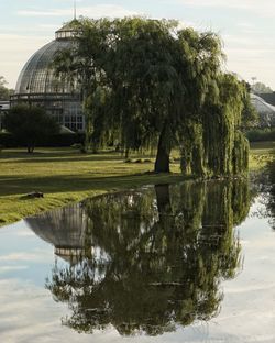 Reflection of trees in water against sky