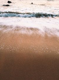 Scenic view of beach