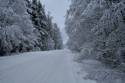 Road amidst trees against sky during winter