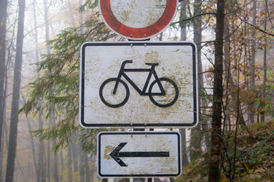 Close-up of road sign against trees in forest