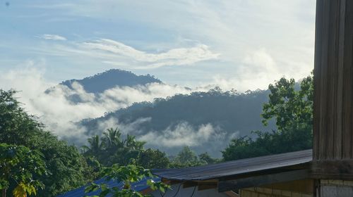 Panoramic view of trees and buildings against sky