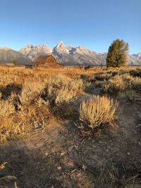 Scenic view of arid landscape against sky teton range 