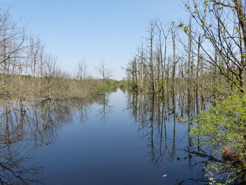 Reflection of trees in lake against sky