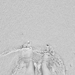 Low section of woman standing on beach