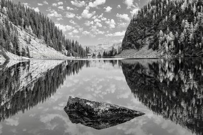 Reflection of tree in lake against sky