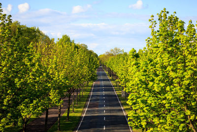 Country road amidst green trees against sky