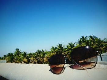 Palm trees against clear blue sky