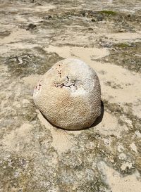 High angle view of sand on beach