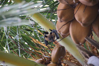 Close-up of man