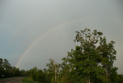 Scenic view of rainbow over trees