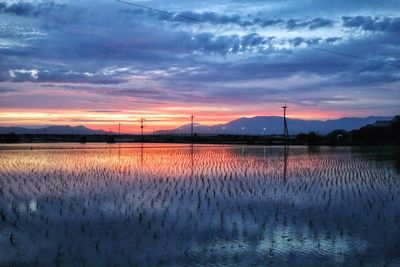 Scenic view of field against sky during sunset