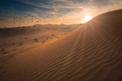 Scenic view of desert during sunset