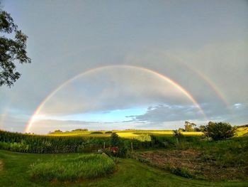 Scenic view of rainbow over field against sky