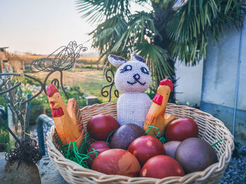 Fresh fruits in basket