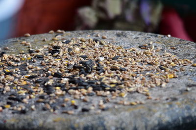 Close-up of stones on stone