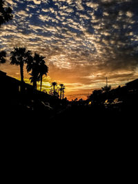 Silhouette palm trees against sky during sunset