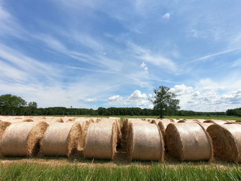 Hay bales on field against sky