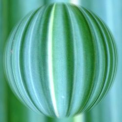 Close-up of green leaf