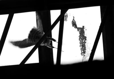 Low angle view of tree against sky