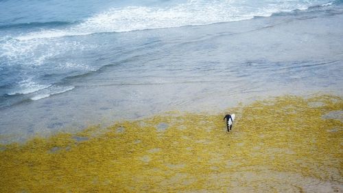 High angle view of man standing on beach