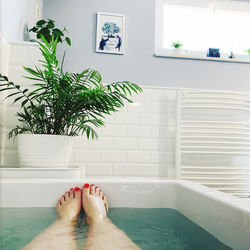 Low section of woman in bathtub