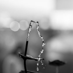 Close-up of water drops on metal