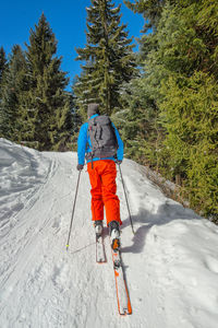 Rear view of person walking on snow