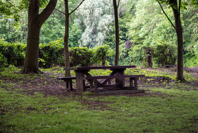 Empty bench in park