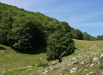 Panoramic view of the lepini mountains, a paradise for hikers in lazio