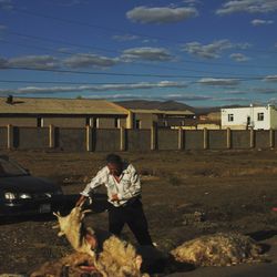 Man and dog standing on street against sky