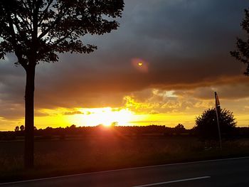 Silhouette trees against sky during sunset