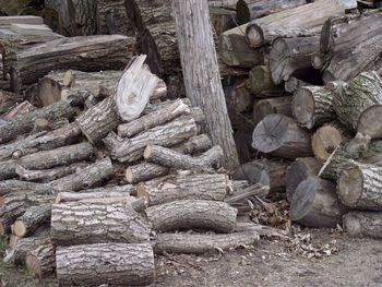 Stack of logs