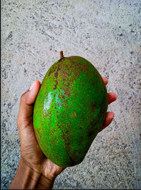 Close-up of hand holding fruit