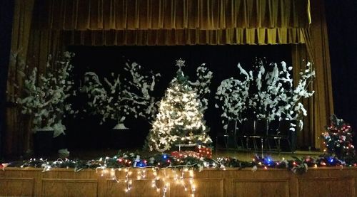 Illuminated christmas tree in city at night