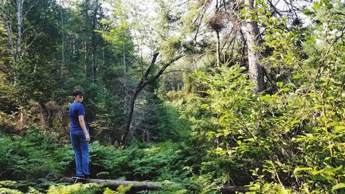 Man walking amidst trees in forest