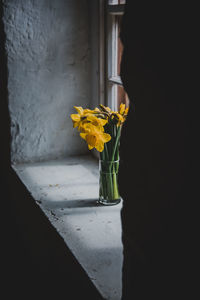 Close-up of yellow flower in vase against black background