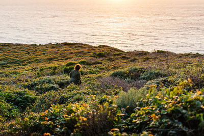 Reflection of trees in water