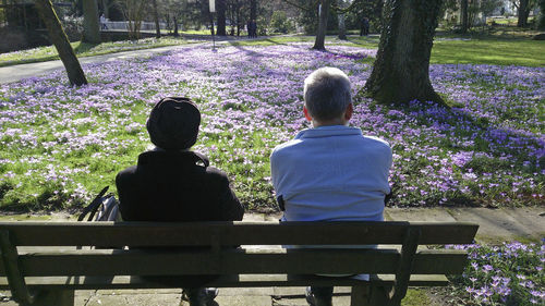 Rear view of two people