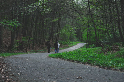 Rear view of people walking on road amidst trees in forest