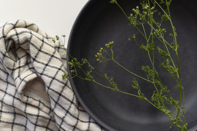 Seeded cilantro sprig on black bowl